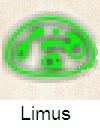Limus1