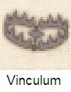 Vinculum1