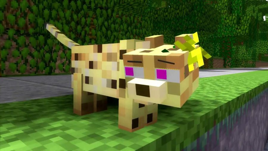 кот оцелот в Minecraft