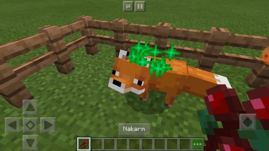 Как приручить лису в Minecraft 